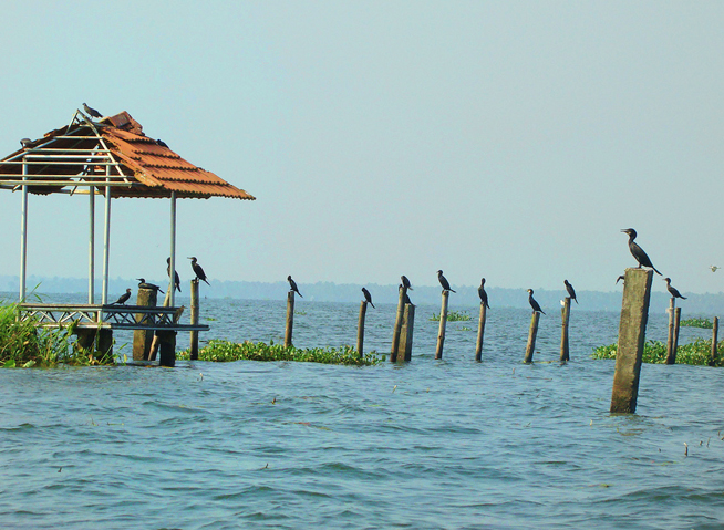 Kumarakom